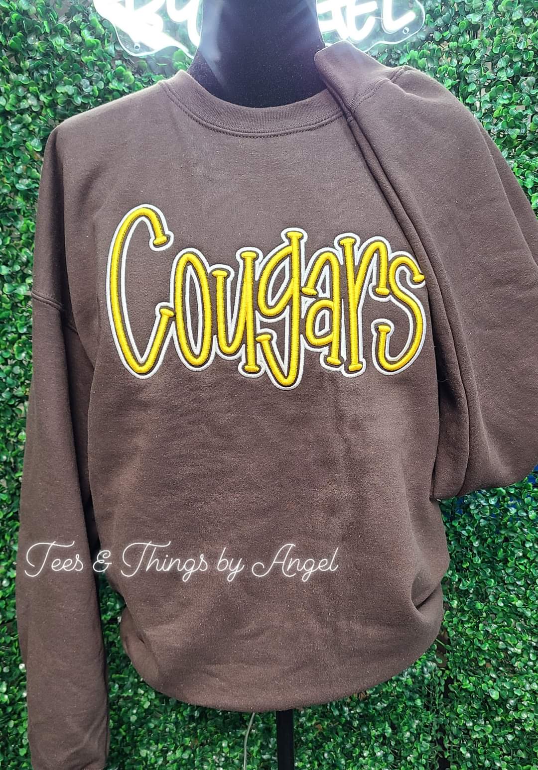 Cougars 3D Embroidered Sweatshirt š¤š