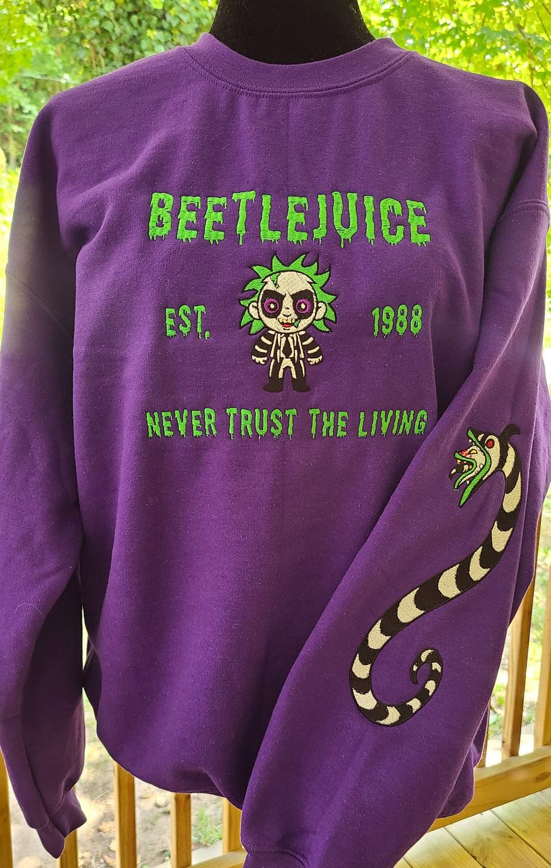 Beetlejuice Embroidered Sweatshirt