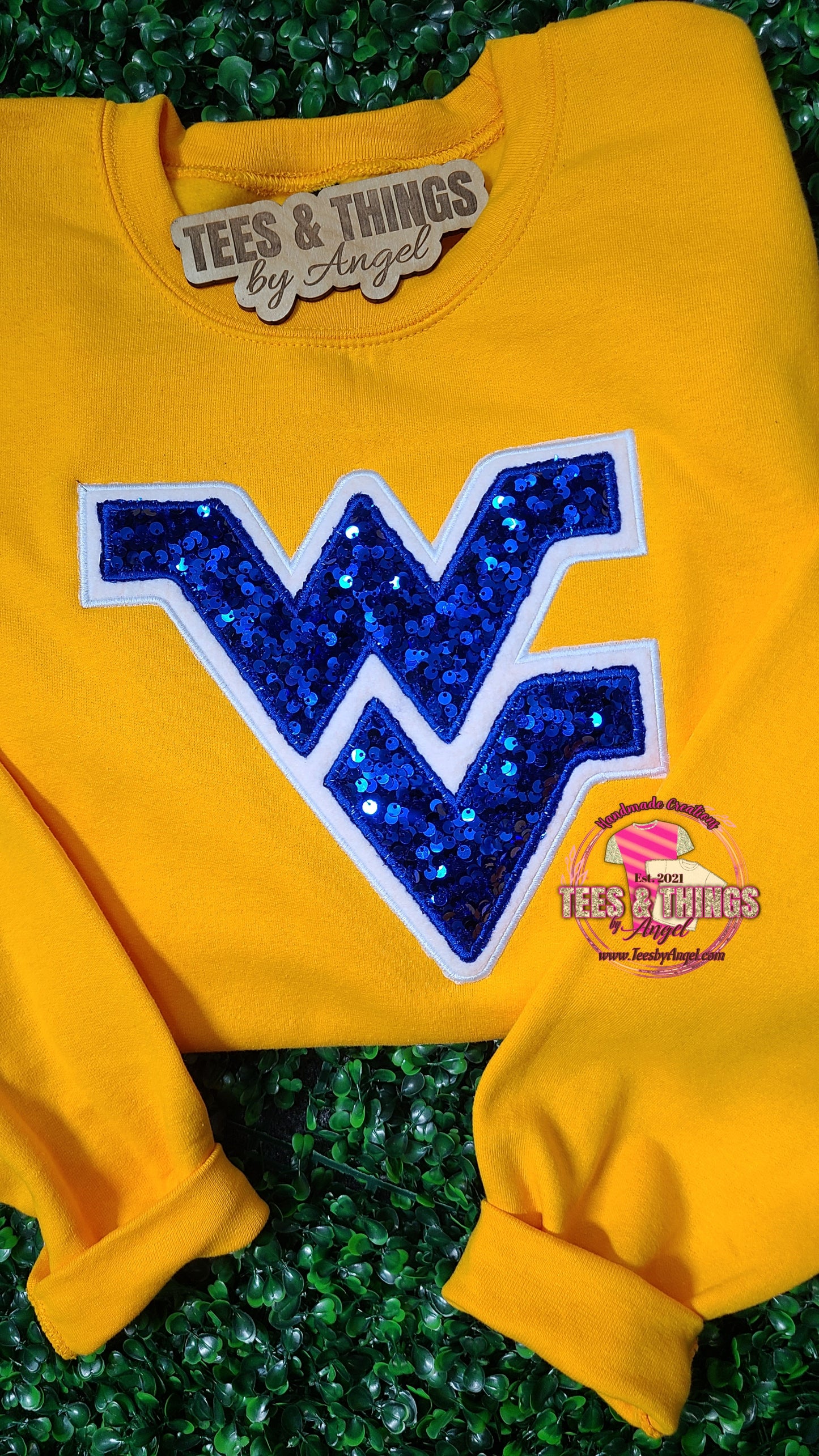 WV Mountaineers 💙💛