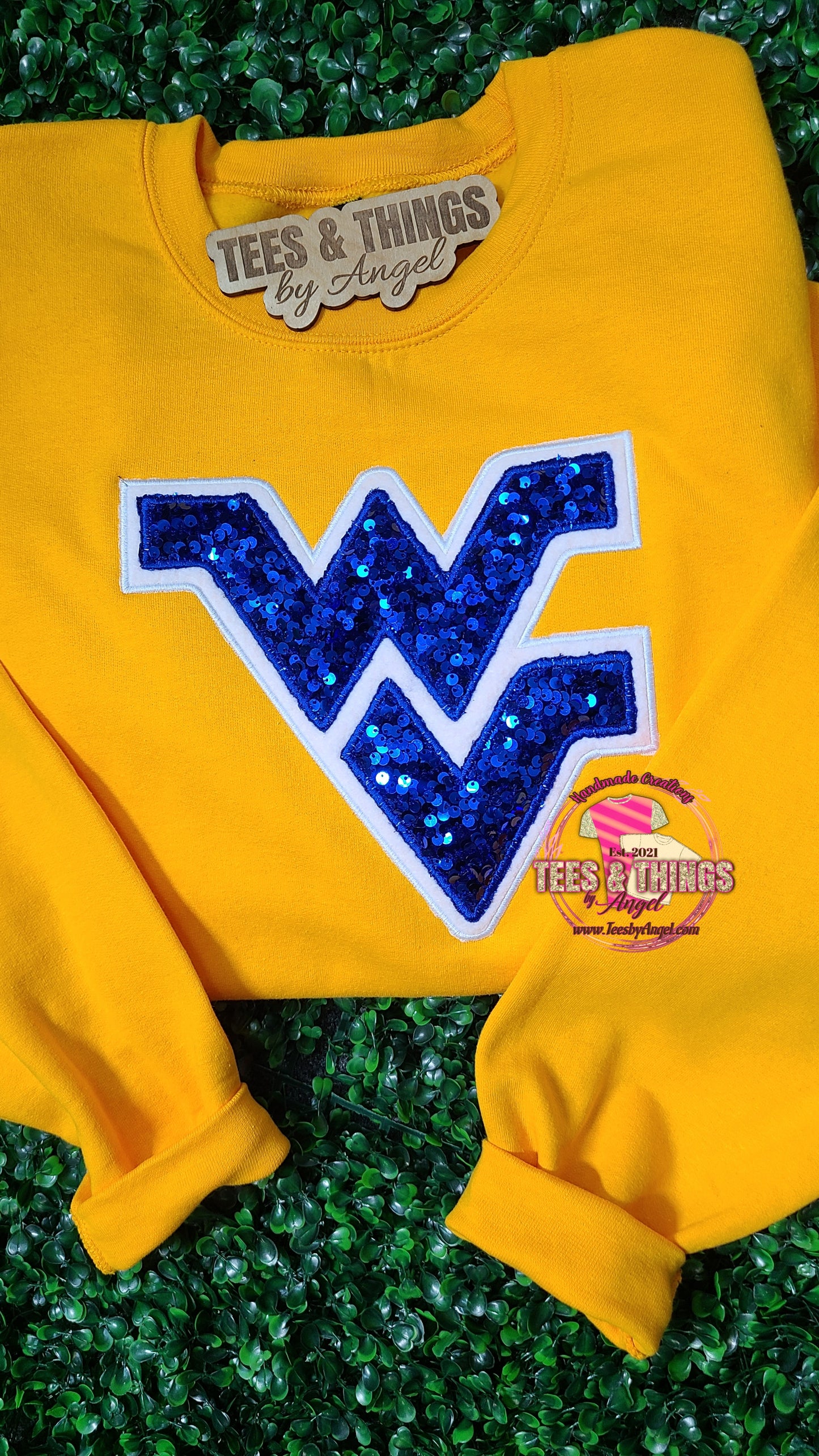 WV Mountaineers 💙💛