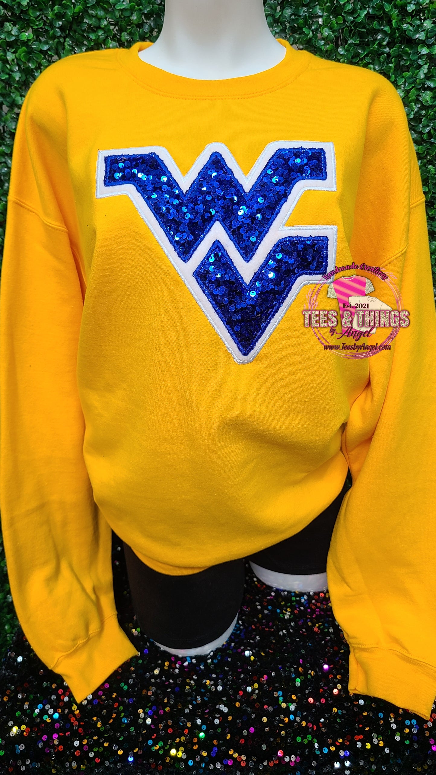 WV Mountaineers 💙💛
